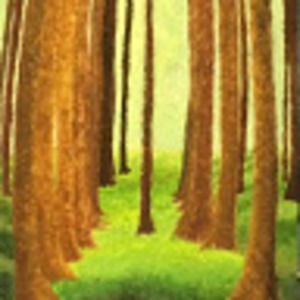 Meet your Posher, Deirdre